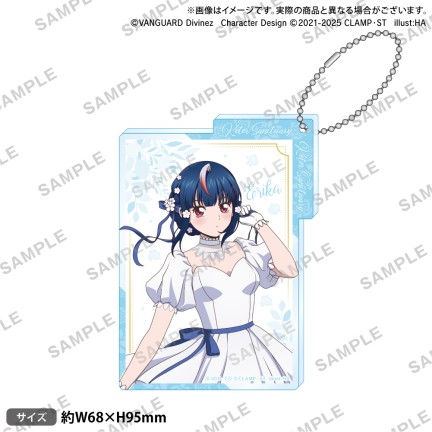 D-3 明星エリカA